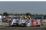 Sebring06-prove-Dindo-0187