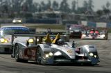 Sebring06-Dindo-0213