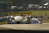 MidOhio02-Dindo2A