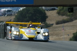 LSeca02-Dindo3094