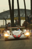 LeMans04-AraProve